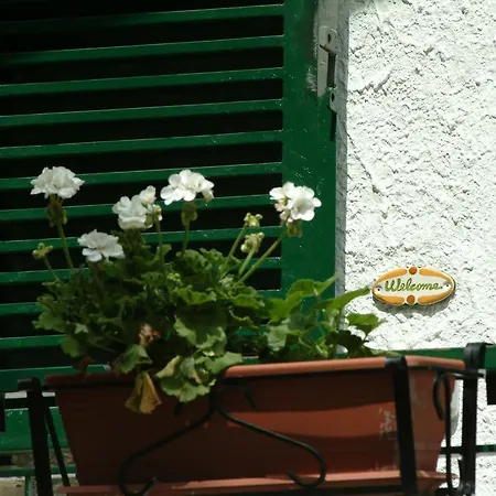 Castagneto Dell Etna Bed & Breakfast